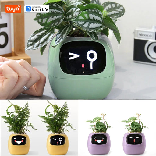 Tuya Ivy Smart Planter,Endless Fun over 49 Rich Expressions,7 Smart Sensors,Ai Chips Make Raising Plants Easy and Fun